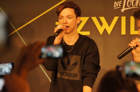 Die Lochis